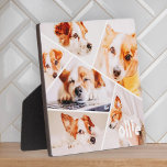 Pets Modern Simple Custom 6 Images Collage Photo Plaque<br><div class="desc">This simple and modern design is composed of sans serif typography. Add custom pet photo.</div>