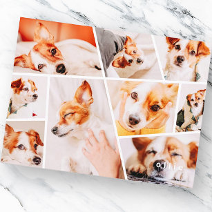 Pets Modern Simple Custom 9 Images Collage Photo Announcement Postcard