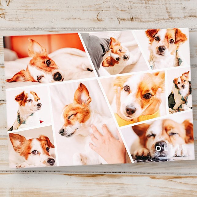 Pets Modern Simple Custom 9 Photos Collage Photo Print (Creator Uploaded)