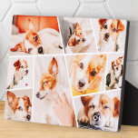 Pets Modern Simple Custom 9 Photos Collage Plaque<br><div class="desc">Add nine (9) custom photos of your pet and pet's name. Add your photos and if needed,  unmask the group of photo and frame,  adjust the image against the frame,  then click mask.</div>