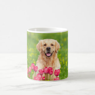  Pet's Modern Simple Elegant Chic Photo Mug