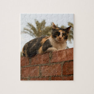 Pets photo Jigsaw puzzle