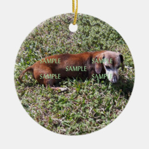 Pets Photo Memorial Ornament