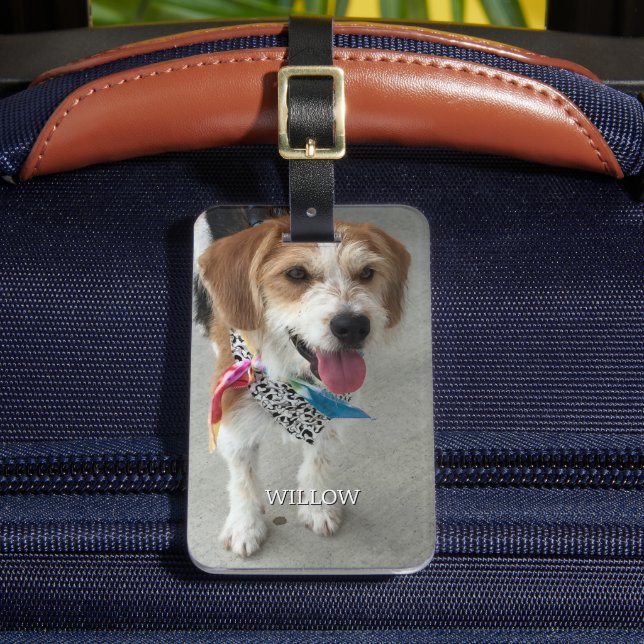 Pet's Photo & Name, Contact Info Luggage Tag (Front Insitu 2)