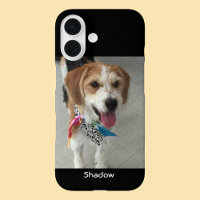 Pet's Photo or Child's Photo & Name