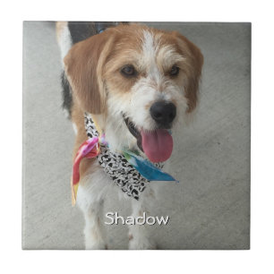 Pet's Photo or Child's Photo & Name Ceramic Tile