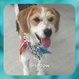 Pet's Photo or Child's Photo & Name Coaster