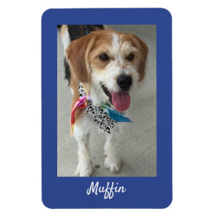 Pet's Photo or Child's Photo & Name, Deep Blue Magnet