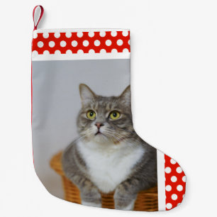 Pet's Photo Small Christmas Stocking