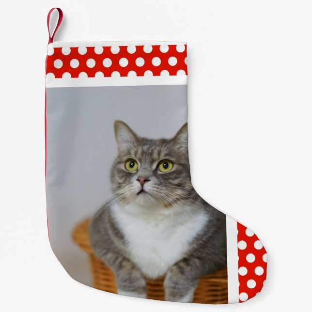 Pet's Photo Small Christmas Stocking (Front)