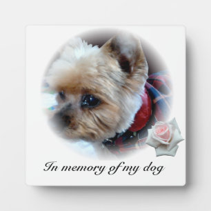 Pets Plaque