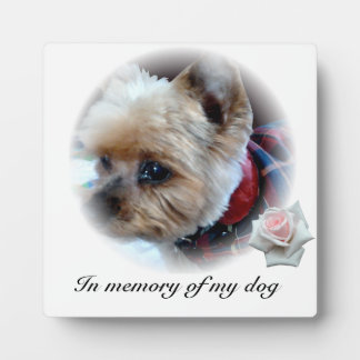 Pets Plaque