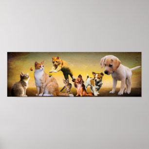 Pets Poster