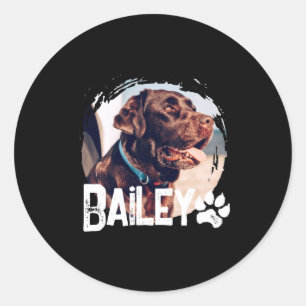 Pets Simple Modern Cool Nge Name And Photo  Classic Round Sticker
