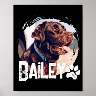 Pets Simple Modern Cool Nge Name And Photo Poster