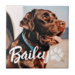 Pet's Simple Modern Cool Typography Name and Photo Ceramic Tile<br><div class="desc">This simple and modern design is composed of modern simple playful script typography. Add custom pet photo.</div>