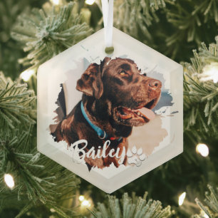Pet's Simple Modern Cool Typography Name and Photo Glass Tree Decoration