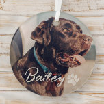 Pet's Simple Modern Cool Typography Name and Photo Glass Tree Decoration<br><div class="desc">This simple and modern design is composed of modern simple playful script typography. Add custom pet photo.</div>