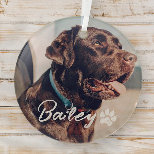 Pet's Simple Modern Cool Typography Name and Photo Glass Tree Decoration
