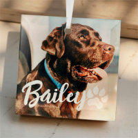 Pet's Simple Modern Cool Typography Name and Photo
