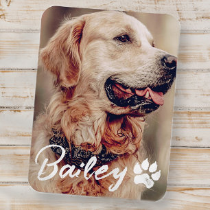 Pet's Simple Modern Cool Typography Name and Photo Magnet
