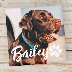 Pet's Simple Modern Cool Typography Name and Photo Magnet