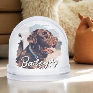 Pet's Simple Modern Cool Typography Name and Photo Snowglobe