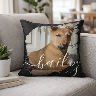 Pet's Simple Modern Elegant Chic Name and Photo Cushion