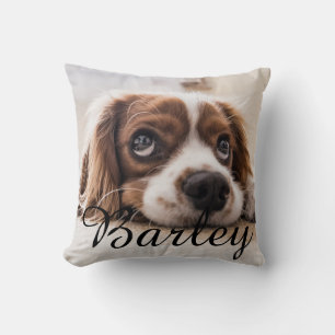 Pet's Simple Modern Elegant Chic Name and Photo  Cushion