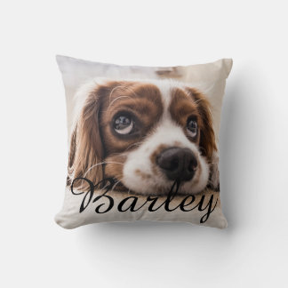 Pet's Simple Modern Elegant Chic Name and Photo Cushion