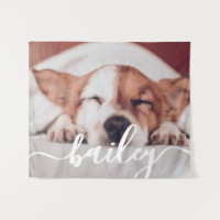 Pet's Simple Modern Elegant Chic Name and Photo