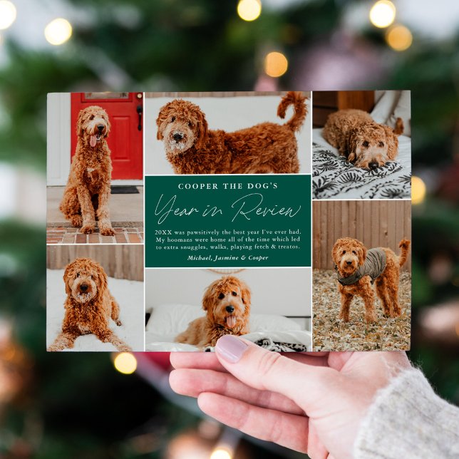 Pet's Year In Review Green Photo Collage Holiday Card (Creator Uploaded)