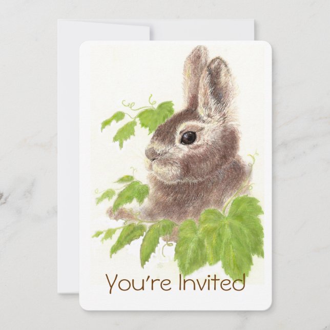 Petting Zoo Bunny Rabbit Birthday Party Fun Invitation (Front)