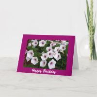 Petunia Birthday Greeting