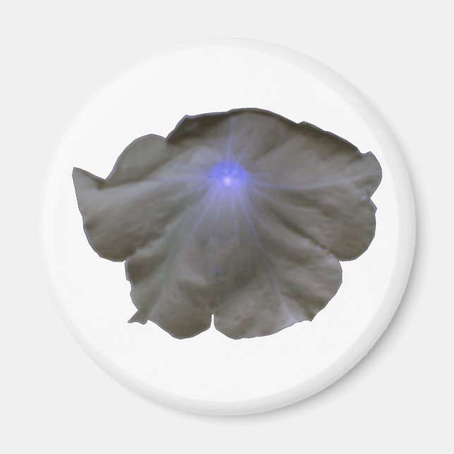 Petunia Black and Blue Magnet (Front)