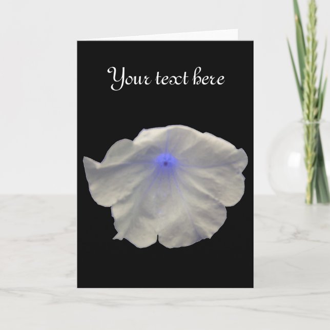 Petunia Blue Glow Custom Greeting Card (Front)