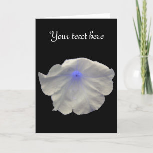Petunia Blue Glow Custom Greeting Card
