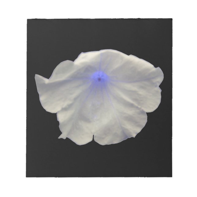 Petunia Blue Glow Notepad (Front)