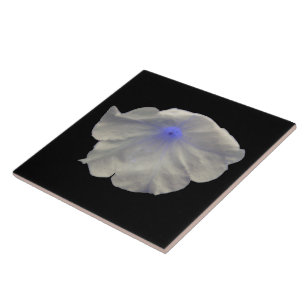 Petunia Blue Glow Tile