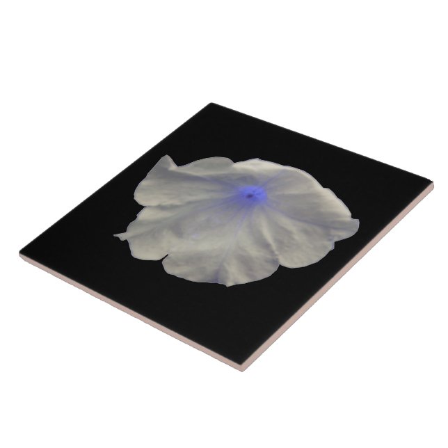 Petunia Blue Glow Tile (Side)