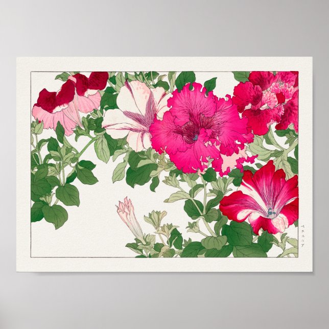 Petunia by Tanigami Konan Poster (Front)