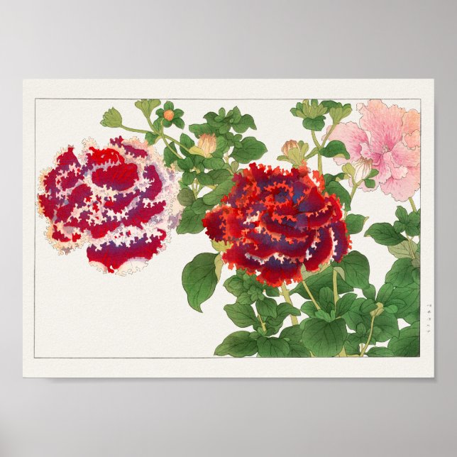 Petunia by Tanigami Konan Poster (Front)