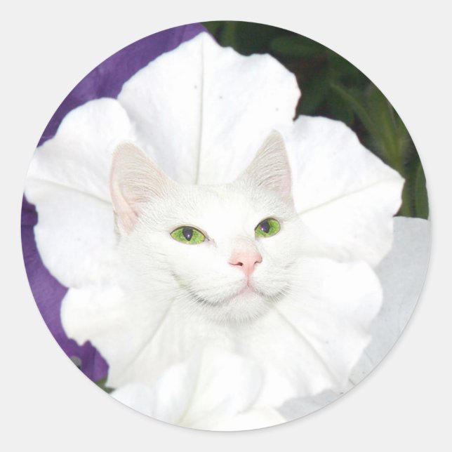 Petunia cat face classic round sticker (Front)