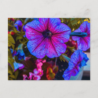 Petunia Close-Up | City of Trees Postcard