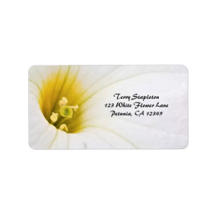 Petunia Flower Blossom Close-Up / White & Yellow / Label