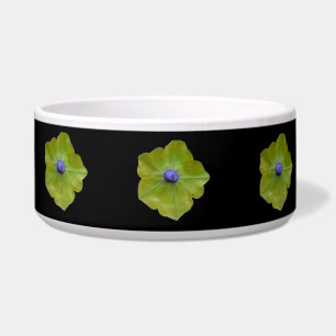 Petunia Green and Blue Dog Bowl