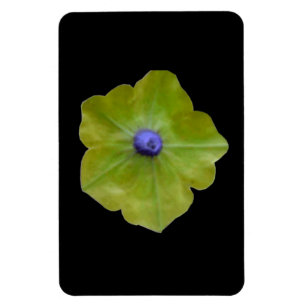 Petunia Green and Blue Premium Magnet