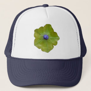 Petunia Green and Blue Trucker Hat