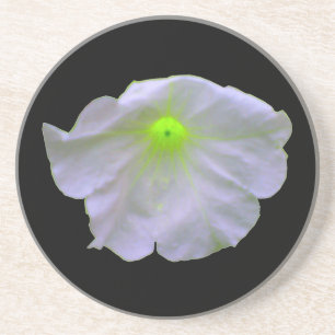 Petunia Green Glow Coasters