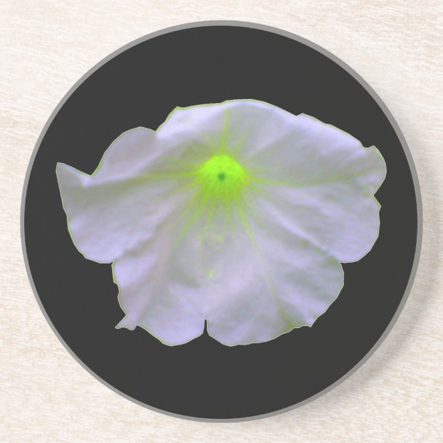 Petunia Green Glow Coasters (Front)